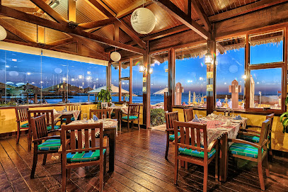 Casa Samak - Sharjah - +971 56 118 5314