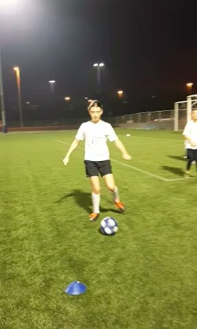 Lcs Sports Services - Sharjah -