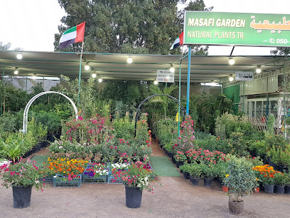 Masafi Garden Natural Plants Tr - Umm Al Quawain - +971 50 680 5509