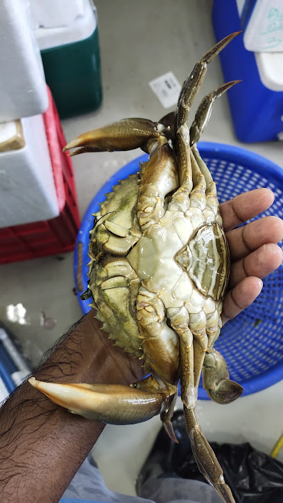 AL TAYYIBATH FISH TRADING LLC - United Arab Emirates|Abu Dhabi Industrial City - ICAD I - Abu Dhabi|8FMH+X59