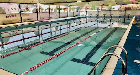Shark Sports Academy UAE - Sharjah - +971 56 598 1246