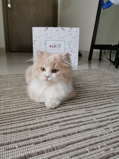 Pet First Veterinary Clinic - United Arab Emirates|near Al Kabayl Discount Centre - Al Barsha - Al Barsha 3 - Dubai|62nd Hessa St|Villa 130