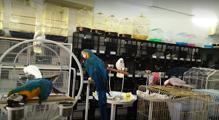Discovery Birds UAE - Sharjah -