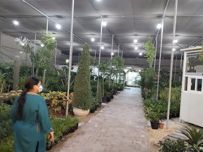 Green Expert Nursery - Umm Al Quawain -