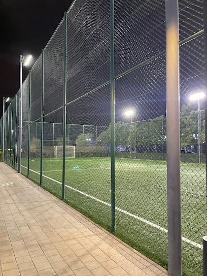 Football pitch - United Arab Emirates|Dubai|275P+FV7