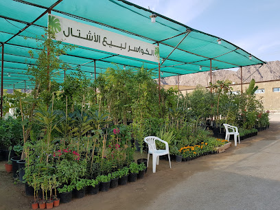 Al Kawasar Nurseries - Umm Al Quawain - +971 52 475 2990