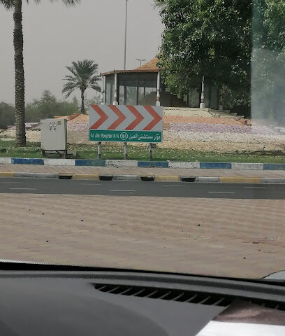 Al Ain Hospital Roundabout - Sharjah -