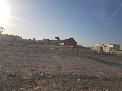 NAJMAT AL MALEHA L . L C - Sharjah -