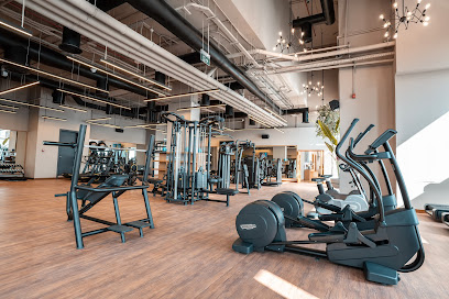 51 GYM DUBAI - دبي - +971 4 385 5851