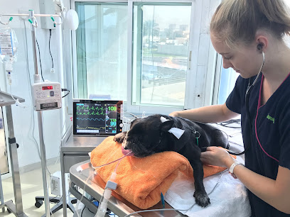 Umm Suqeim Veterinary Centre - Umm Al Quawain - +971 4 348 3799