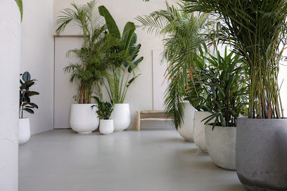 Recovery Island - Sharjah - +971 6 532 8519