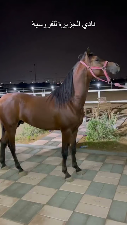 Aljazeerah equestrian club - United Arab Emirates|Ras al Khaimah|5 21C St