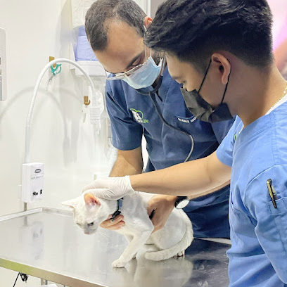 Pure Life Veterinary Treatment - Umm Al Quawain - +971 2 444 3002