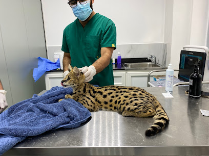 Royal Pets Veterinary Clinic - Umm Al Quawain - +971 4 557 9089