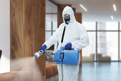 Sofa | Carpet cleaning services - Umm Al Quawain - +971 55 127 5545