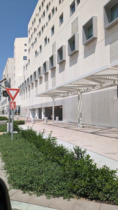 NYUAD- EAST PARKING - United Arab Emirates|Al Saadiyat Island - Saadiyat Marina District - Abu Dhabi|Sheikh Khalifa Bin Zayed Al Nahyan Hwy|NYU Abu Dhabi A6 Arts & Humanities Bldg