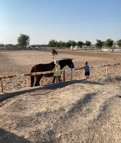 Marwan Stable - Sharjah -