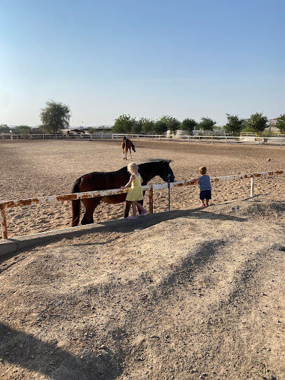 Marwan Stable - United Arab Emirates|Al Haramal - Ras al Khaimah|HWH7+G3