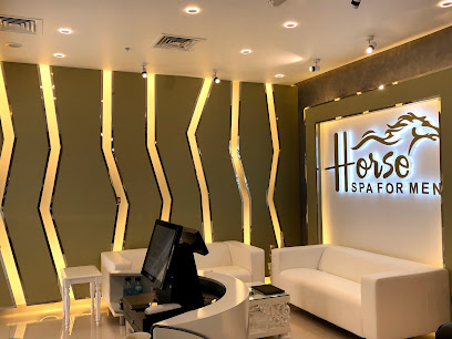 Horse Spa For Men - Sharjah - +971 50 740 7064