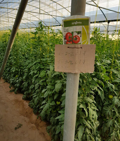 شركة الرشد الزراعية Al Roshid Agriculture - Sharjah - +971 3 766 6896