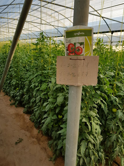 شركة الرشد الزراعية Al Roshid Agriculture - United Arab Emirates|Abu Dhabi|Khalifa Bin Zayed Street (Khalifa Street