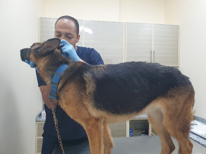 Vetland Veterinary Clinic - Umm Al Quawain - +971 50 221 4462