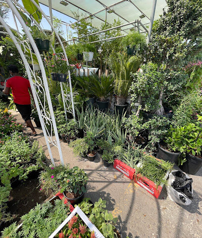 Wahat Al Zuhoor Landscaping & Flowers - Sharjah - +971 50 582 1367