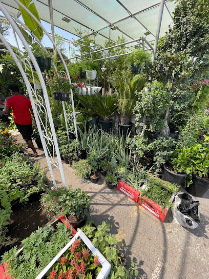 Wahat Al Zuhoor Landscaping & Flowers - United Arab Emirates|Zayed Port - Al Mina - Abu Dhabi|4 شارع عِينِيَّة