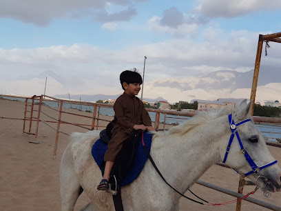 Alrams horses stable - Sharjah - +971 55 880 1036