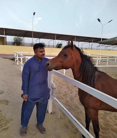 Yas Stud - Sharjah - +971 50 617 1115