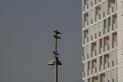 Discovery Gardens South Tennis Court - Sharjah -