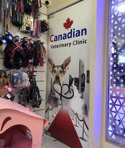 Canadian Veterinary Clinic - Umm Al Quawain - +971 2 677 7631