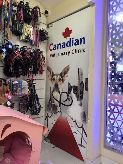 Canadian Veterinary Clinic - United Arab Emirates|Al Zahiyah - Abu Dhabi|Al Meena St|G96H+3C4