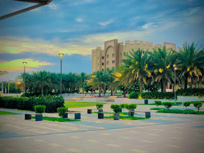 Let’s Paddle - Sharjah - +971 58 506 8234