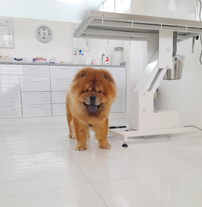 عيادة تاج البيطرية Tag Veterinary clinic - Umm Al Quawain - +971 50 150 0405