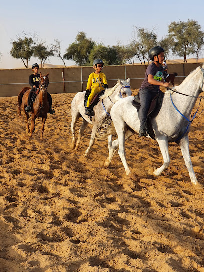 Leader stable اسطبل القيادة - United Arab Emirates|Al Sad - Abu Dhabi|7CX7+RC6
