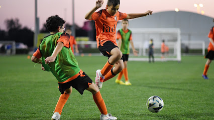 Maestros Football Academy - Sharjah - +971 50 744 9038