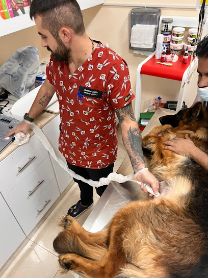 Pet care clinic veterinary - United Arab Emirates|Ras al Khaimah|47 طريق الغافات