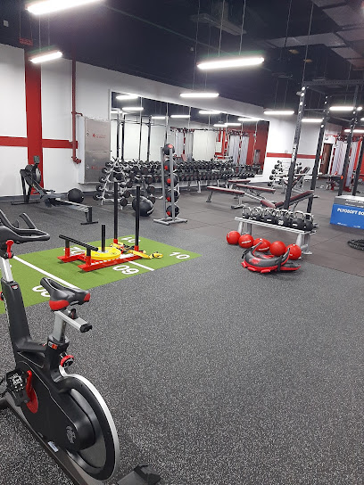 Velocity Fitness - United Arab Emirates|Fujairah|1st Floor