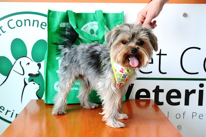 Pet Connection Veterinary Clinic Dubai Al Barsha 1 - Umm Al Quawain - +971 4 447 5307