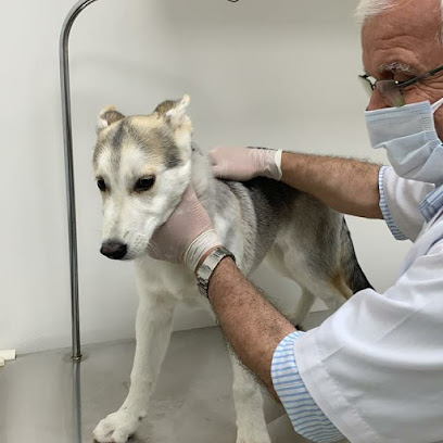 Al Hayat Veterinary Clinic - عيادة الحياة البيطرية - Umm Al Quawain - +971 58 593 1952
