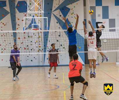 Royal VolleyBall - Umm Al Quawain - +971 56 125 2425