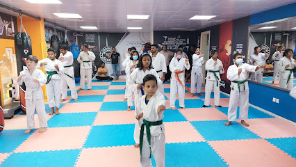 IRON FIST KARATE CENTER AND FITNESS - Sharjah - +971 55 599 2174