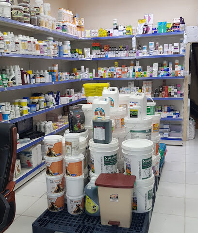 Noor Al Shafa vet Medicine - Umm Al Quawain - +971 50 734 1879