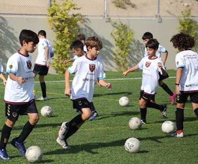Elite Sports Academy | Head Office - Sharjah - +971 4 554 5916