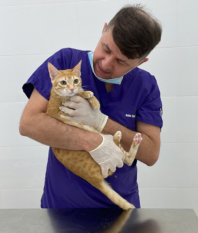 Noble Veterinary Clinic JLT - Umm Al Quawain - +971 4 569 1888