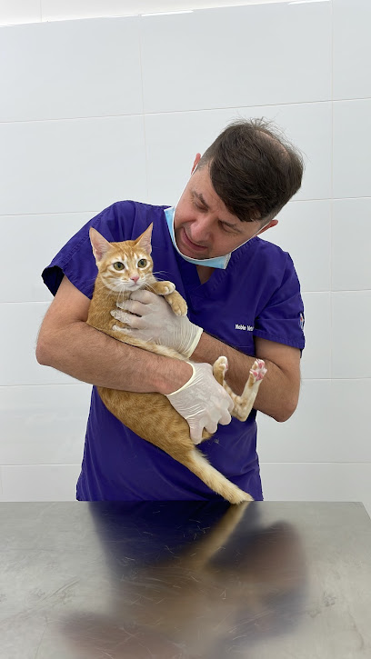 Noble Veterinary Clinic JLT - United Arab Emirates|Dubai|Jumeirah lake towers Cluster N Lake point tower Showroom R3A