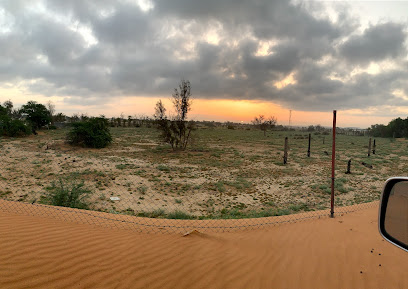 Al-Theid Camel Racing Arena - Sharjah -