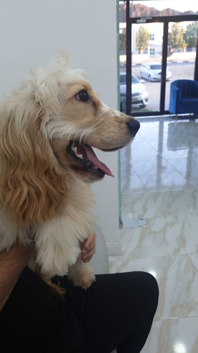 aleef veterinary clinic.uae - United Arab Emirates|Al Rifa‘ - Fujairah|Sheikh Zayed Bin Sultan Al Nahyan Rd
