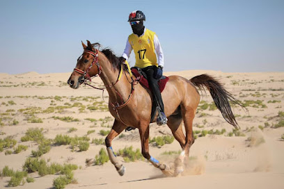 M7 Stable - Sharjah -